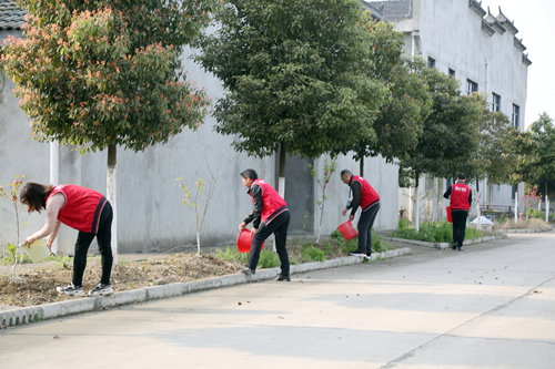 1 019_副本.jpg 1 019_副本.jpg